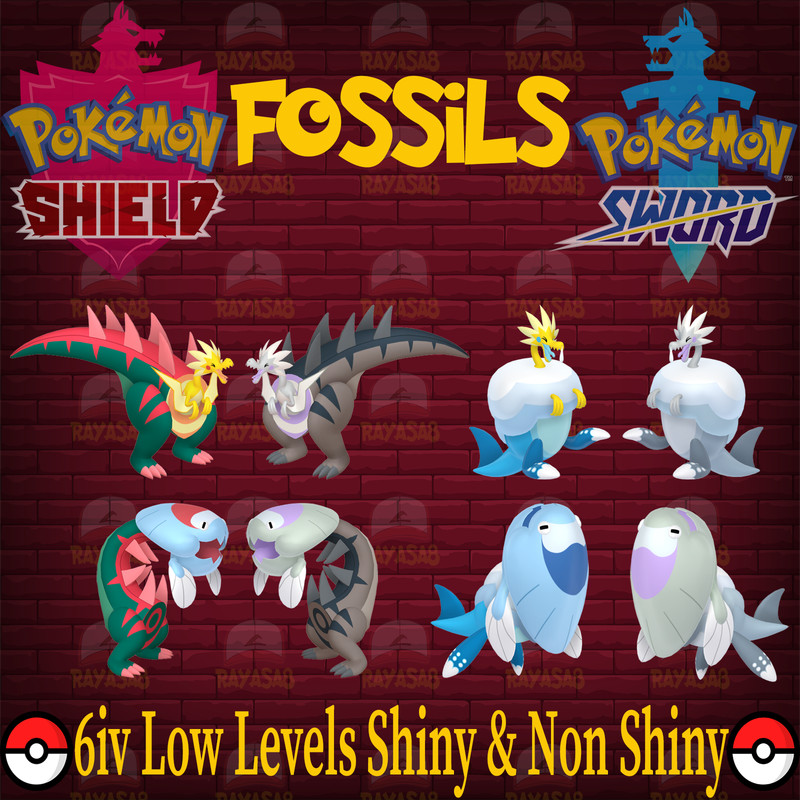Pokemon Sword & Shield Fossils 6IV Low Levels 🌟Shiny🌟 & Non Shiny Bundle Home